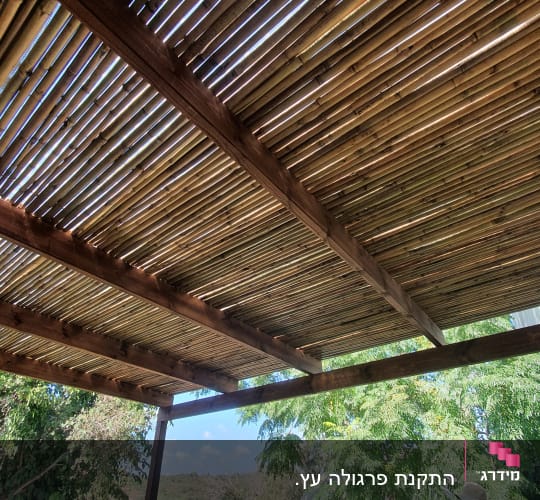 פרגולה מעץ עם קורות במבוק בגינה